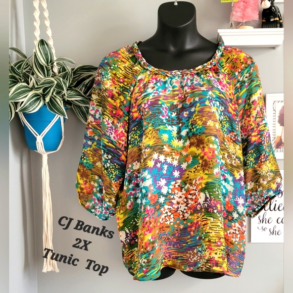CJ Banks Tops Cj Banks 2x Popover Tunic Top Poshmark